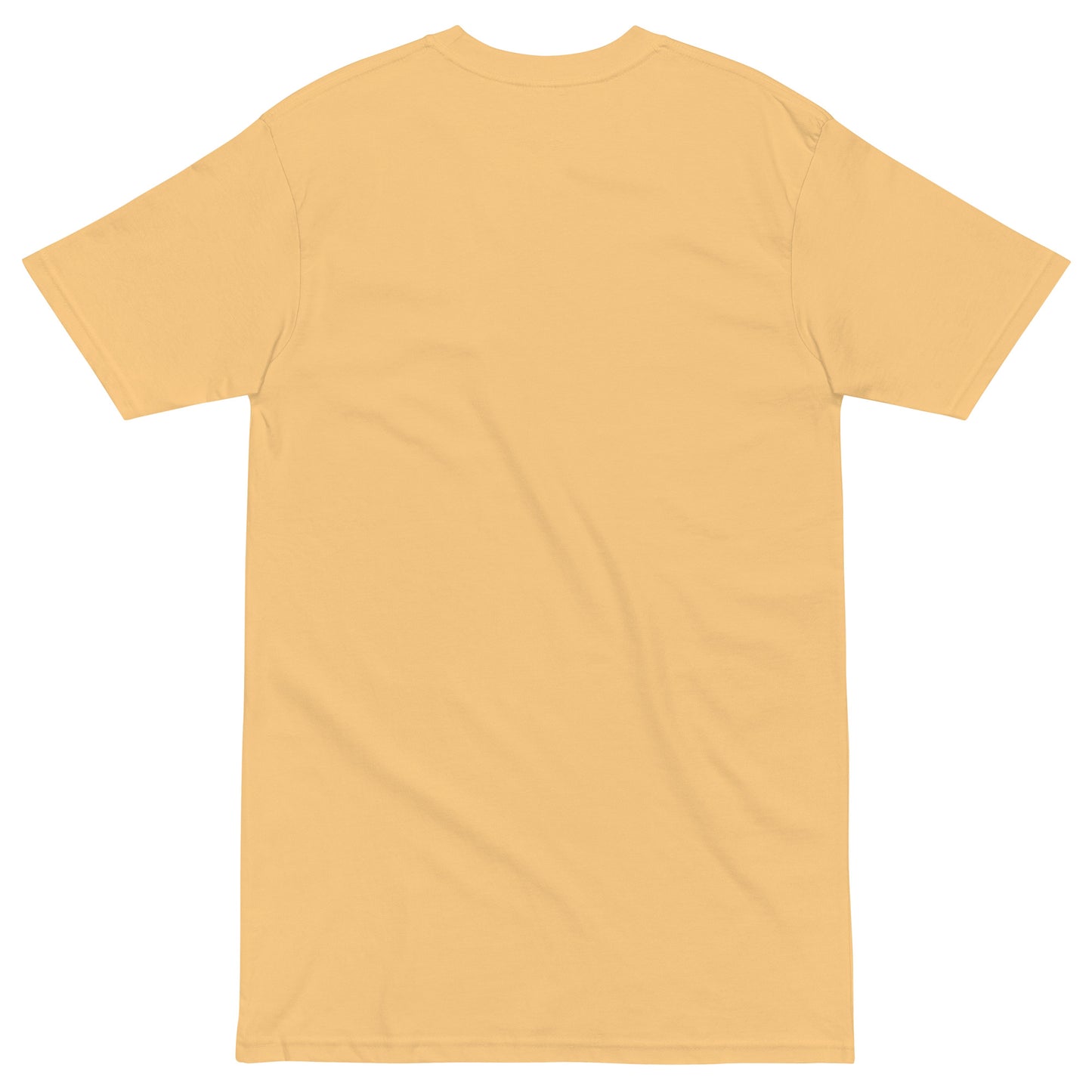 Men’s 247 Unity heavyweight tee