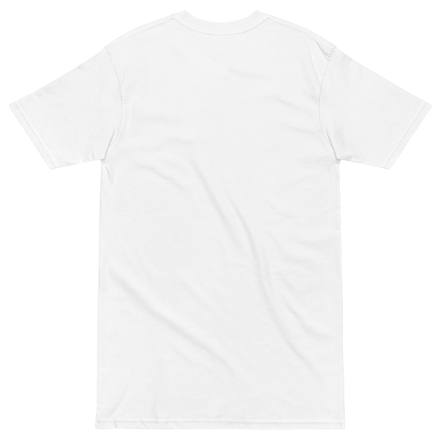 Men’s 247 Unity heavyweight tee